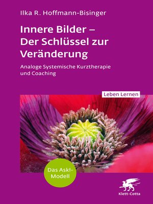 cover image of Innere Bilder – Der Schlüssel zur Veränderung (Leben Lernen, Bd. 343)